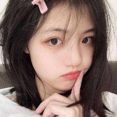 动物之爱