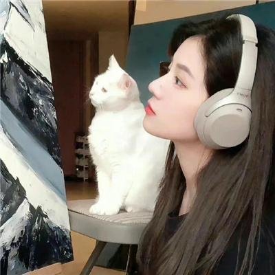 干支魂:猫客万来
